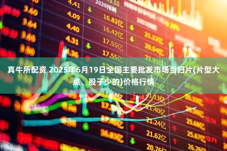 真牛所配资 2025年6月19日全国主要批发市场当归片(片型大点、股子少的)价格行情
