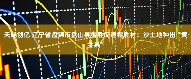 天成创亿 辽宁省盘锦市盘山县得胜街道得胜村：沙土地种出“黄金果”