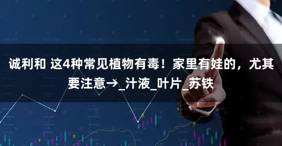 诚利和 这4种常见植物有毒！家里有娃的，尤其要注意→_汁液_叶片_苏铁