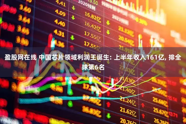 盈股网在线 中国芯片领域利润王诞生: 上半年收入161亿, 排全球第6名